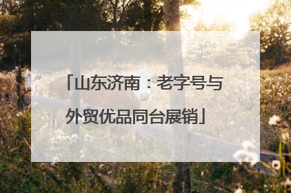 山东济南：老字号与外贸优品同台展销